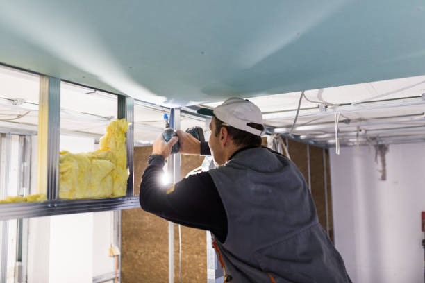 Best Wall Insulation Contractor  in Aurora, CO