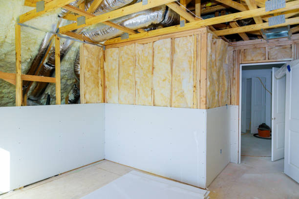 Best Insulation Inspection Services  in Aurora, CO