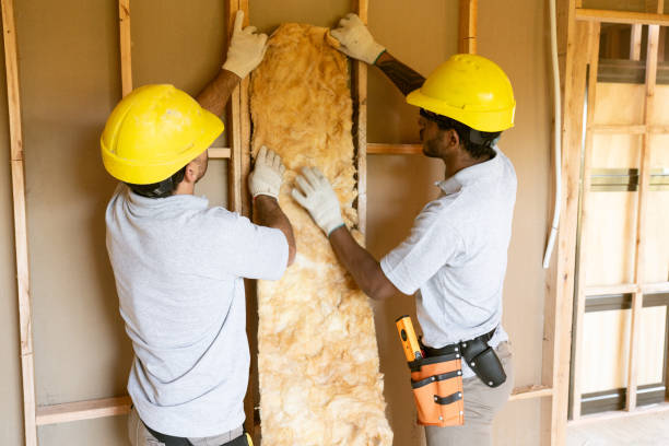 Best Insulation Replacement Services  in Aurora, CO