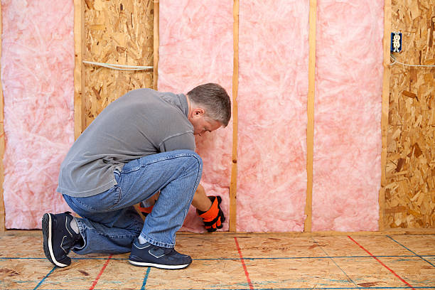 Best Local Insulation Services  in Aurora, CO